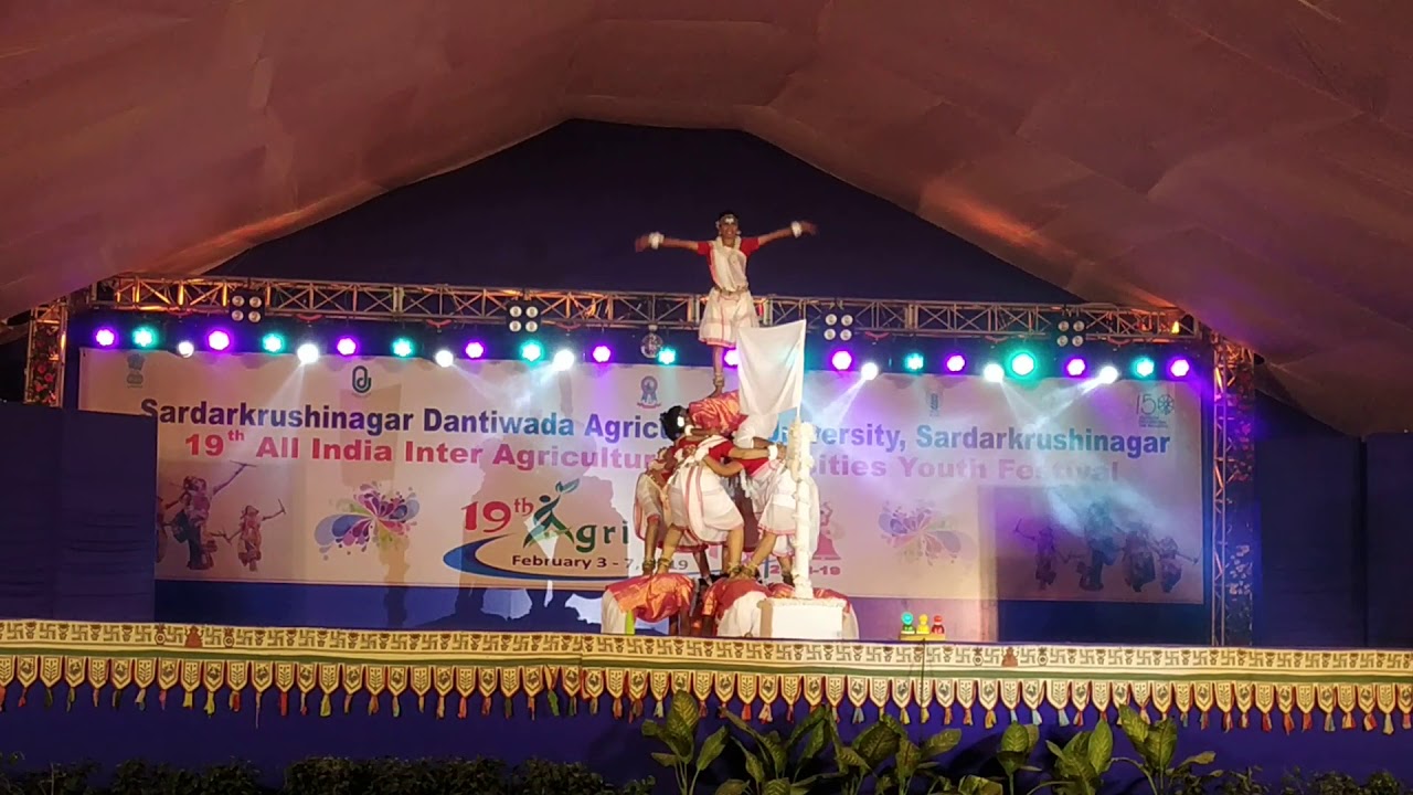 Cg Panthi Dance Igkv Raipur2019