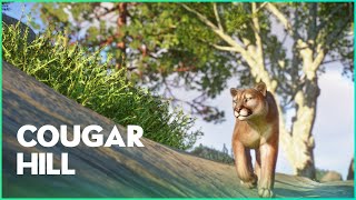 DETAILED & NATURAL Cougar Habitat - Planet Zoo Speedbuild