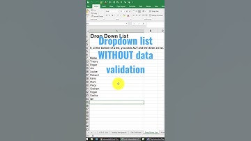 Drop-down list without data validation