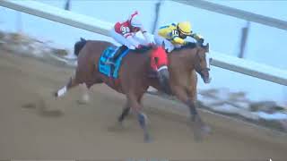 RACE 10 - AQUEDUCT