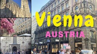 The beauty of Vienna St. Stephan's Cathedral #vienna #austria