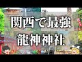 【ゆっくり解説】一生に一度は行くべき関西の龍神神社９選