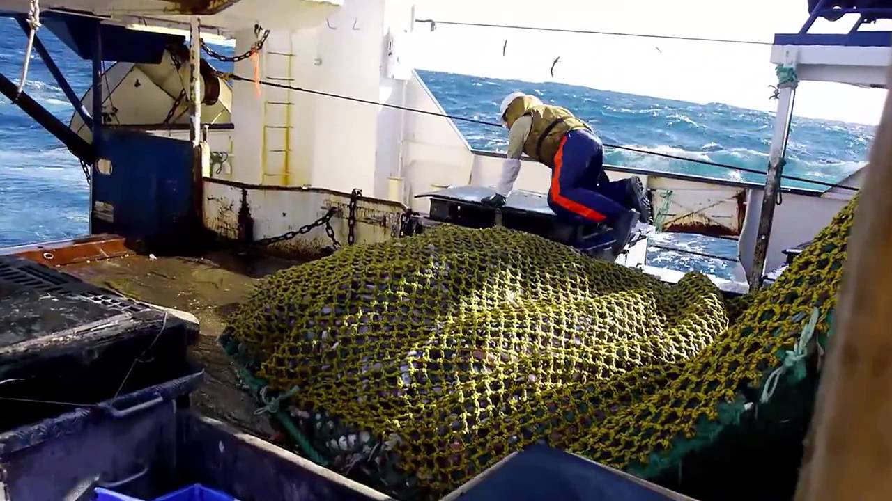 Raptis Seafood Corporate video