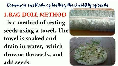 Lesson2: Perform Estimation and Basic Calculation