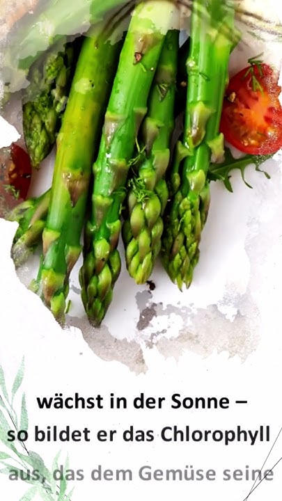 Weißer und grüner Spargel Unterschied erklärt, Spargelzeit shorts