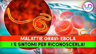 Malattie Gravi, Ebola: I 5 Sintomi Per Riconoscerla!