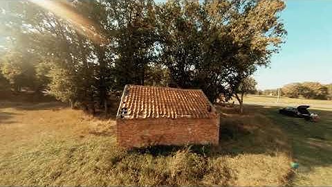 Cinematic FPV flight through treetops!