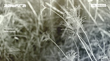 Nternal Bserver - Grasslands [ZATHRA presents VA: 96100]