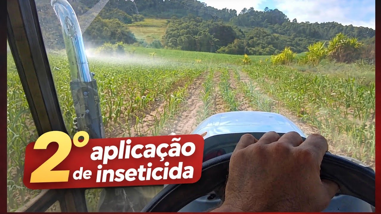 FAZENDO A 2° APLICAÇÃO NO MILHO 🌽