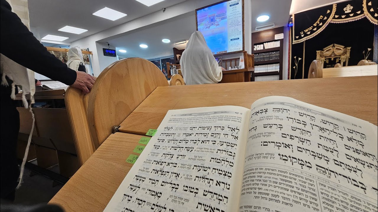 סיום פרק שביעי - מסכת ברכות דף נ'-נא' - מיכאל בראל