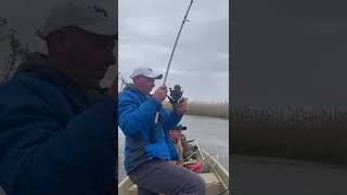 Рыбалка в Астрахани #рыбалка #fishing #астрахань