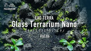 エキゾテラ グラステラリウム ナノ /パルダリウム立ち上げ Vol.06【室内雨林園芸パルダリウム盆栽】