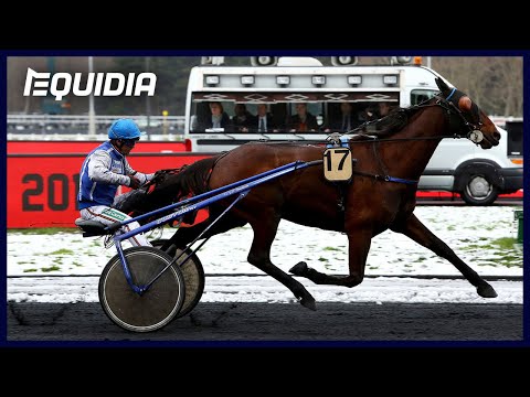 Vertige de Chenu - Prix de Langeais - Vincennes - 31/01/19 - Vertige de Chenu - Prix de Langeais - Vincennes - 31/01/19
