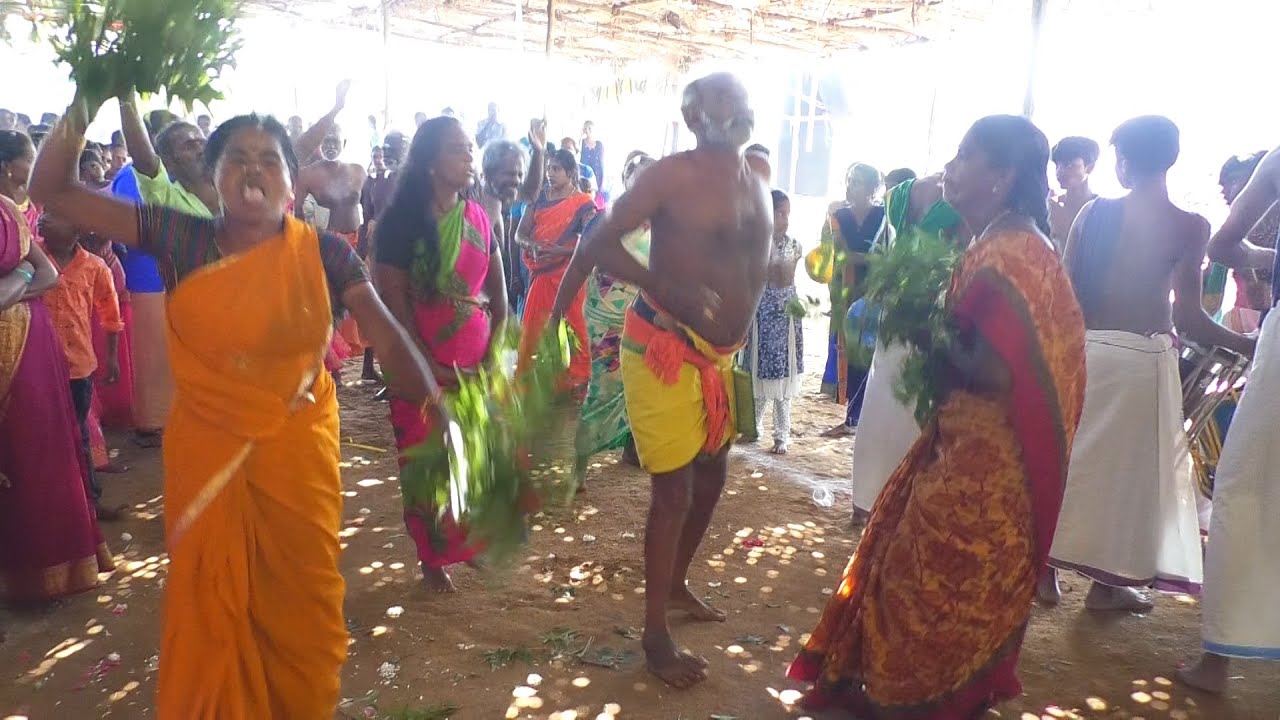 திருநெல்வேலி முத்தன்குளம் பத்திரகாளி அம்மன் புதுமாடன் கோவில் சாமிஆட்டம்