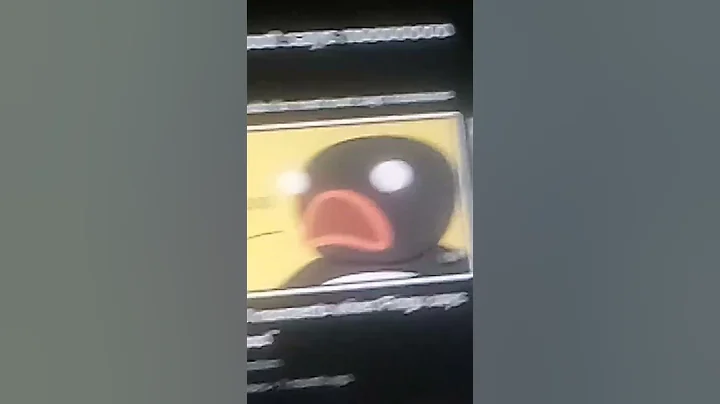 penguin noot noot noooooooo