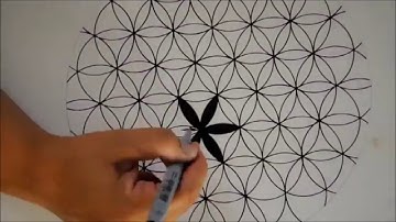 Sacred Geometry: Seven Overlapping Circles