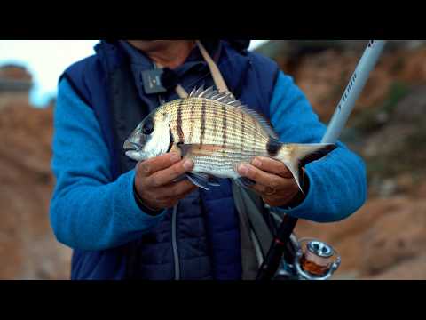 Bolognese DNA - Scaduta a Calafuria - ep 1 (Colmic)