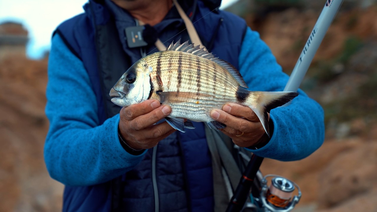 Bolognese DNA - Scaduta a Calafuria - ep 1 (Colmic)