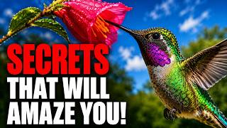 5 THINGS You Didn’t Know About HUMMINGBIRDS!