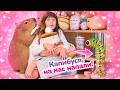 Гусеница напугала Бьянку, но Капибусик придумала хитрый план! 🍎🐛
