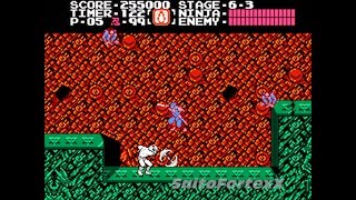 Ninja Gaiden (NES) - Act-VI - Stage 6-3 (No Damage + Dragon Sword Only + All Power-Ups Collected)