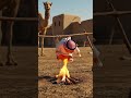      عربی بلی بمقابلہ اونٹ کی لڑائی