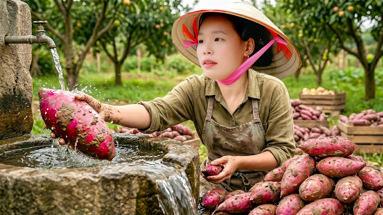 Harvesting 1000Kg Sweet Potatoes to Sell at the Market - Taking Care of Pets with Single girl
