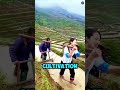 Vertical Mountain Farming Is Insane 🤯⛰️ #usashorts #shortsfeeds