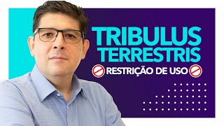 Tribulus terrestris, qual a restrição de uso | Dr Juliano Teles