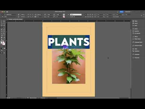 فيديو: كيف يمكنك تسطير النص في InDesign mac؟