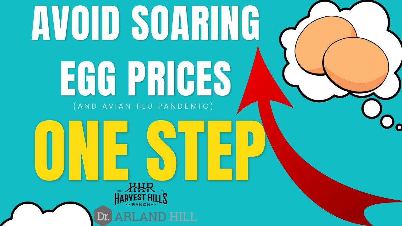 Avoid Soaring Egg Prices (and Avian Flu Pandemic) In One Step - YouTube