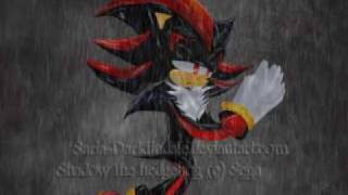 Shadow is BAD BOY