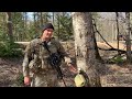 Survival training how to get water from a tree