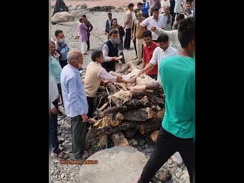 تصویری: موش‌ها در کجای خانه‌ها زندگی می‌کنند؟