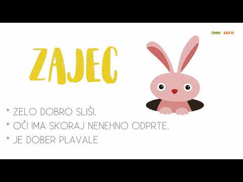 Video: Lepota Gozdne Pravljice