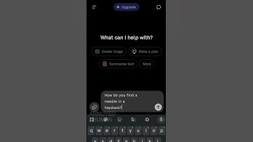 Hoe vind je een speld in een hooiberg? 🪡