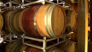Luce e Lucente, espressione del territorio di Montalcino