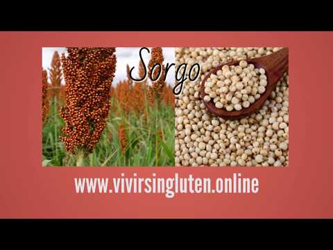 Vídeo: 10 Increíbles Beneficios Para La Salud Del Sorgo (Jowar)