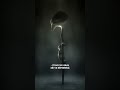 Seev's Alien Encounter and Marks