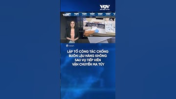 Lập tổ công tác chống buôn lậu hàng không sau vụ tiếp viên vận chuyển ma tuý