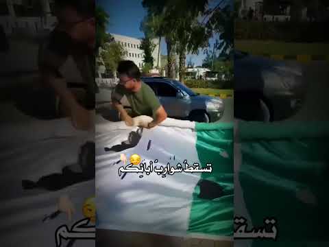 إلى كل من ينتظر سقوط سورية تسقط شوارب أبائكم ولا يسقط السوري