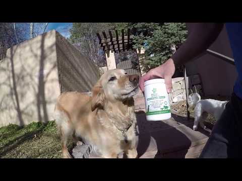 Doggie Dailies Glucosamine