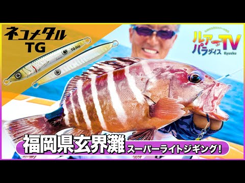 【SLJ】ネコメタルTGで狙う！スーパーライトジギングin玄界灘【ルアパラTV】