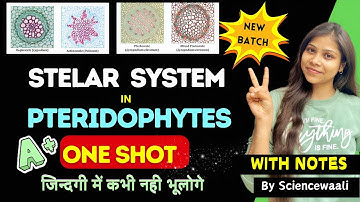 Stelar System in Pteridophyta 💯🔥||stele and its type||stelar system||bsc 2nd semester botany paper