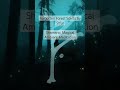 Encounter Forgotten Forest Spirits meditation #meditationmusic #folkmusic #mindfulness #naturesounds