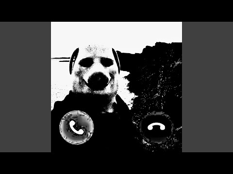 JHON PORK PHONK (ULTRA SLOWED)