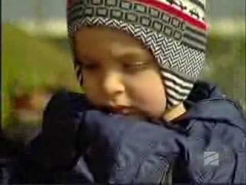 \"ლისი ვერანდას\" გამწვანება.\"შუა დღის შოუს\" სიუჟეტი