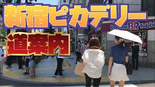 新宿ピカデリーアクセス案内 新宿駅東口から