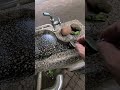 🦆🐕💩😭🐍🐳また 犬うんち やまべ橋260809(日)朝🎌武蔵野公園にて 【合唱】 この星に生まれて(混声三部)