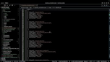 Bachata buddy - Google Cloud Run hackathon entry by Erick Rea
